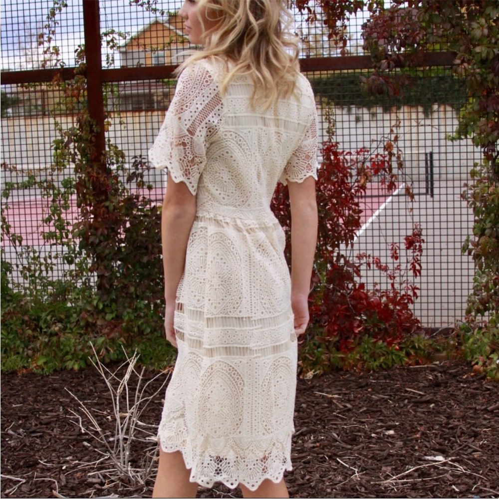 Polagram Lace Dress in Cream